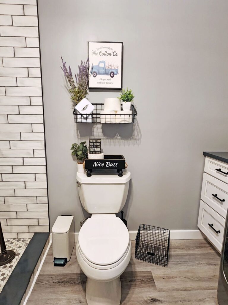black and white bathroom, white toilet, wood floors,