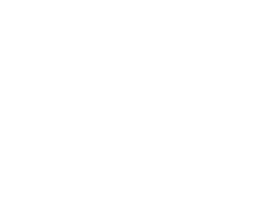 A question mark inside of a chat bubble, a symbol used as a Questions button on a website